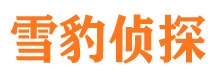 固安婚外情调查取证